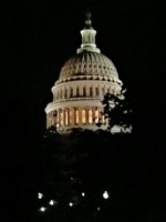 Black_therapist_in_DC_pic_of_capitol_at_night